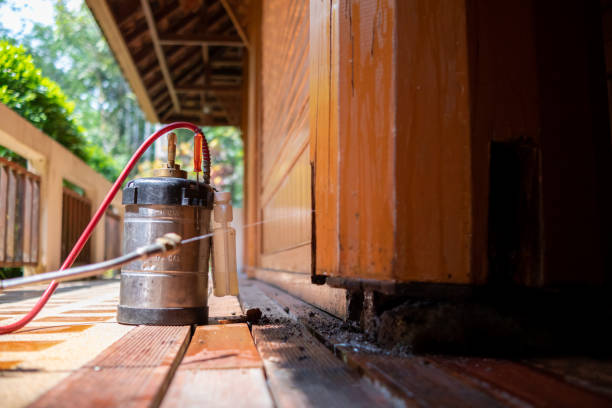 Best Cockroach Control Services  in North Sea, NY