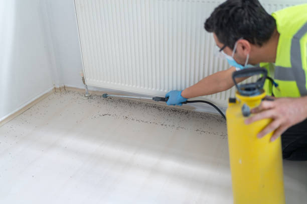 Best Residential Pest Control  in North Sea, NY